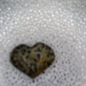 JASPE DALMATIEN COEUR